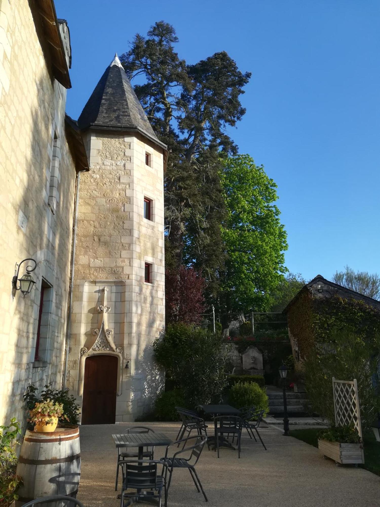 Chinon Manoir De L'Abbaye Seuilly Exterior foto